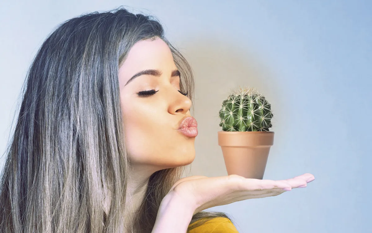 Frau küsst Kaktuss Frau küsst Kaktuss