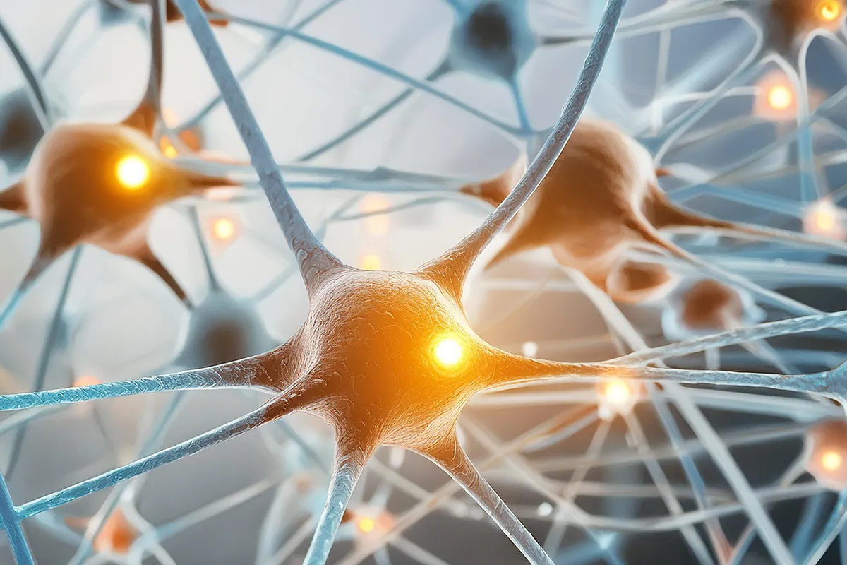 Renderbild Neuronendarstellung