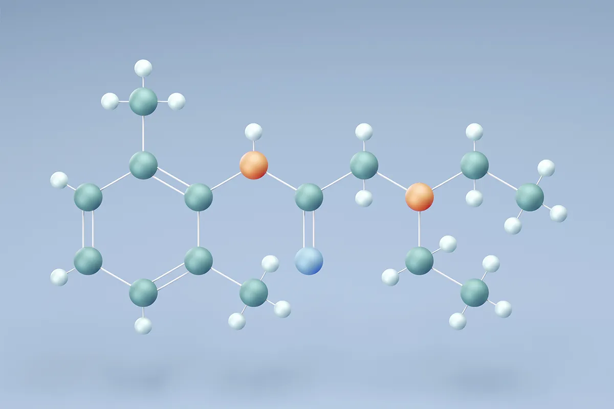 Schema Molekül Lidocain